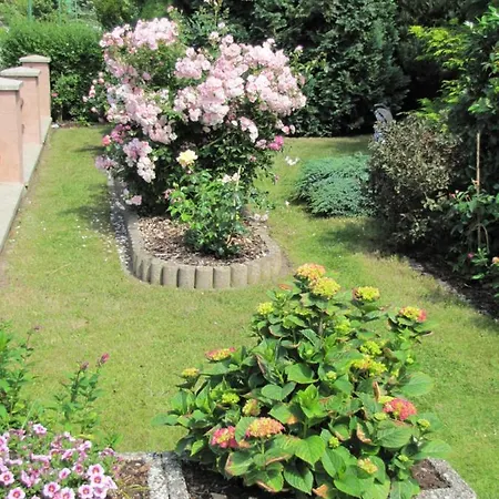 Apartmán Haus Roseneck Seebad Auf Insel Usedom Vermietung Im Bereich Souterrain !