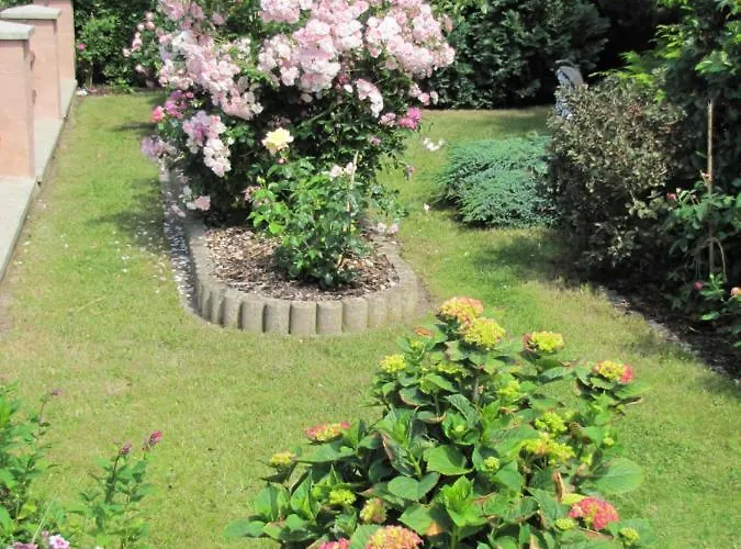 Appartamento Haus Roseneck Seebad Auf Insel Usedom Vermietung Im Bereich Souterrain !